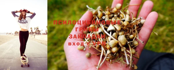 mdpv Беломорск